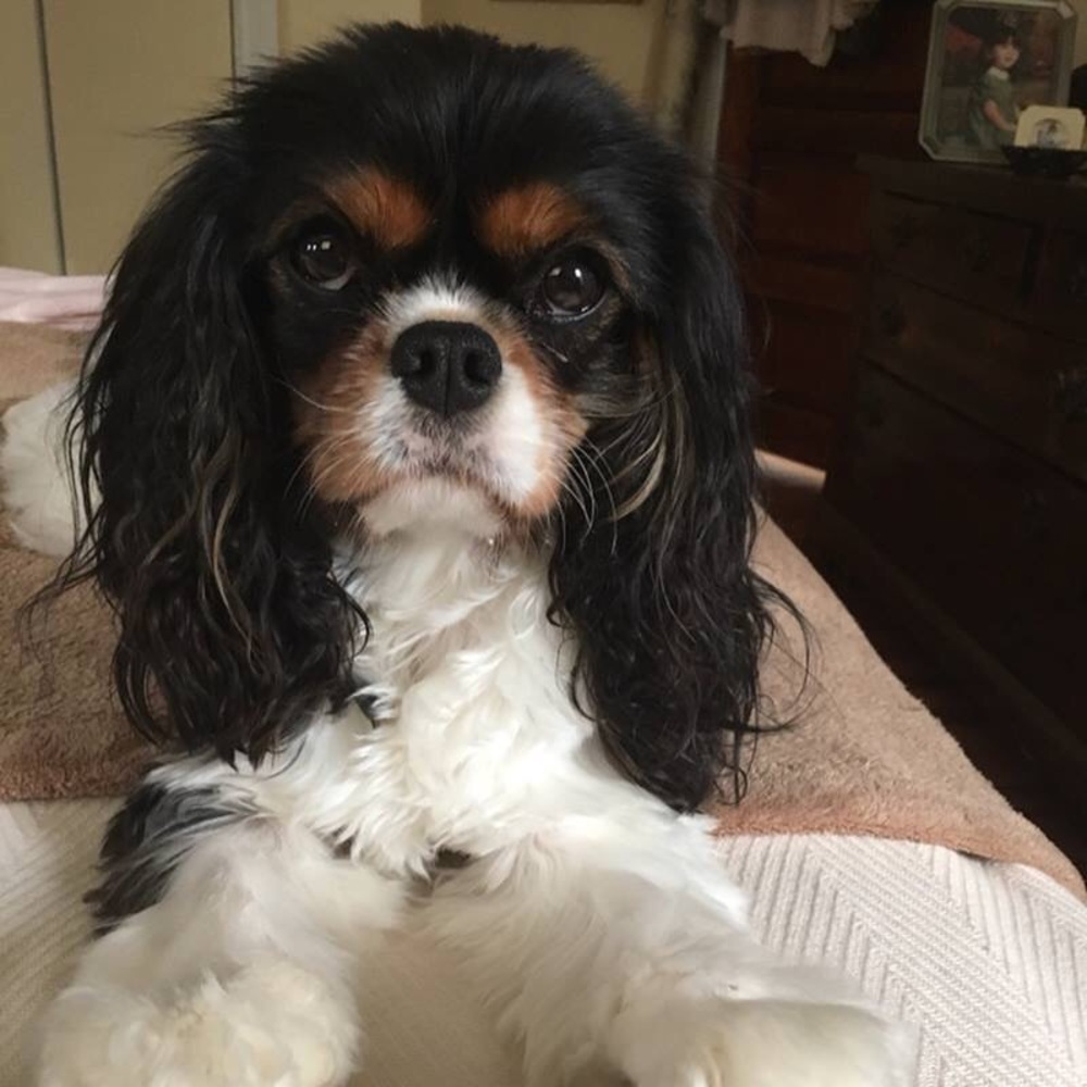 Meet your Posher, Elisa